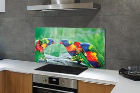 Panel Kuchenny Szklany Egzotyczne Papugi w Koronie Drzew