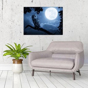 Obraz - Nocna Sowa (70x50 cm)