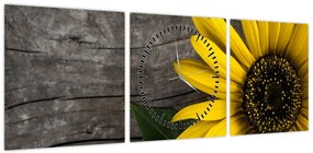 Obraz - Kwiat słonecznika (z zegarem) (90x30 cm)