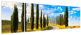 Obraz - Krajobraz (170x50 cm)