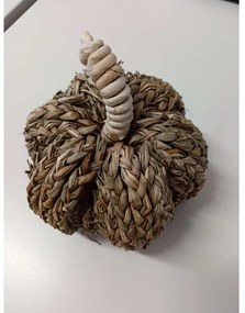 PROMOCJA Dekoracja dynia PUMPKIN COACH GRASS II. jakość