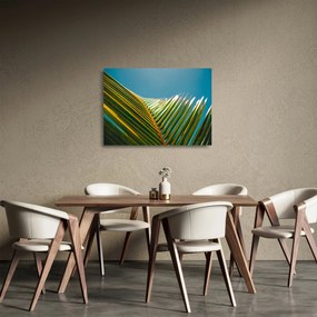 Obraz na szkle - Detal liścia palmowego (70x50 cm)