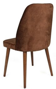 Zestaw krzeseł do jadalni Alfa Brown and Walnut, 2szt.