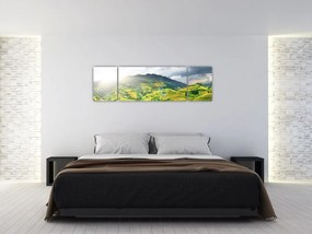 Obraz plantacji (170x50 cm)