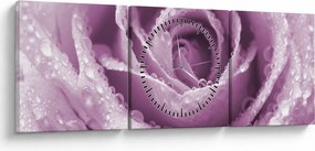 Obraz szczegółu kwiatu róży (z zegarem) (90x30 cm)