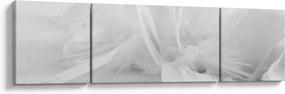 Obraz - Pióra (170x50 cm)