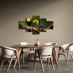 Obraz siedzących tukanów, Kostaryka (125x70 cm)