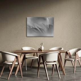 Obraz - Kropla na kwiecie, czarno - biały (70x50 cm)