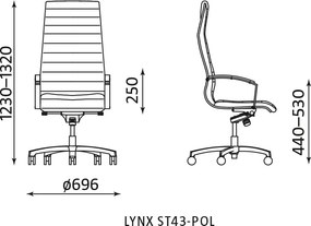Fotel gabinetowy Lynx ST43