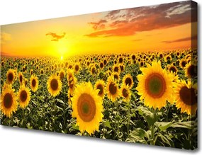 Obraz na płótnie Radosne Pole Słoneczników