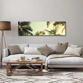 Obraz z palmami kokosowymi (170x50 cm)