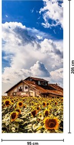 Fototapeta na drzwi - Pole słoneczników (95x205cm)