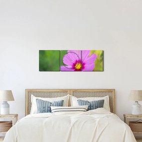 Obraz - polny kwiat (z zegarem) (90x30 cm)