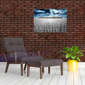 Obraz na szkle pola (70x50 cm)