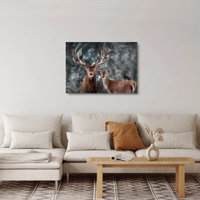 Obraz na szkle - Jeleń i łania w zaśnieżonym lesie (70x50 cm)