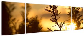 Obraz - słońce zachodzące za drzewami (170x50 cm)