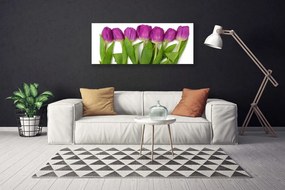Zdjęcie na płótnie Wiosenne Pole Tulipanów