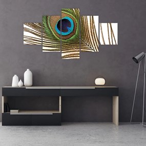 Obraz pawich piór (125x70 cm)