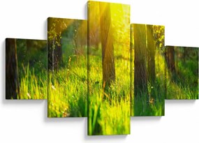 Obraz - Wiosenne przebudzenie lasu (125x70 cm)