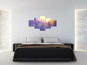 Obraz - Lawenda (125x70 cm)