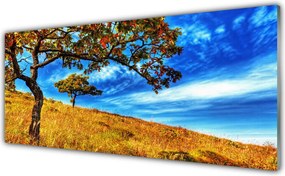 Szkło Ozdobne do Kuchni Samotne Drzewo na Horyzoncie