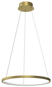 LED Żyrandol na lince HOOP LED/27W/230V śr. 50 cm 4000K złoty