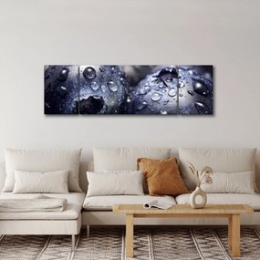 Obraz owoców z kroplami wody (170x50 cm)