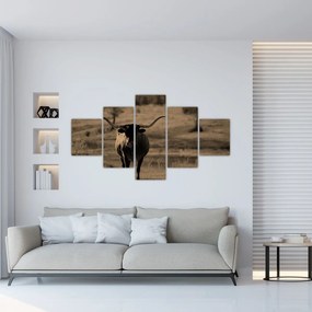Obraz - Krowa z Teksasu (125x70 cm)