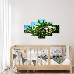 Obraz - Plumeria (125x70 cm)