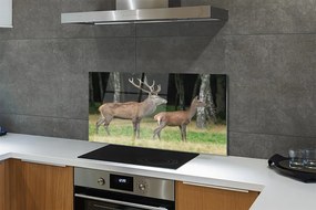 Panel Szklany Jeleń w Gęstwinie Leśnej