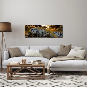 Obraz śpiącego tygrysa (z zegarem) (90x30 cm)