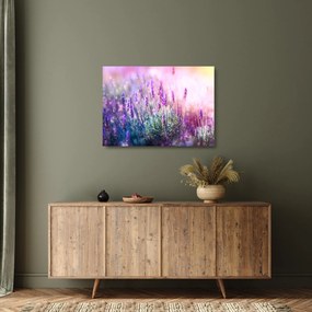 Obraz na szkle - Lawenda w słońcu (70x50 cm)