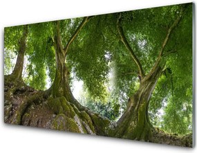 Panel Szklany do Kuchni Korony Rozłożystych Drzew