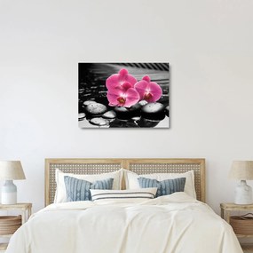 Obraz na szkle - Różowe orchidee (70x50 cm)