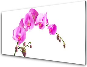 Panel nad blat kuchenny Wyrafinowany Ogród Botaniczny