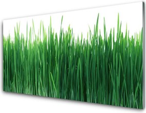 Szkło Ozdobne do Kuchni Naturalna Świeżość Trawy