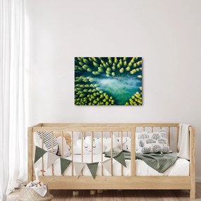 Obraz - Las spowity mgłą (70x50 cm)