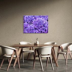 Obraz na szkle - fioletowe kwiaty (70x50 cm)