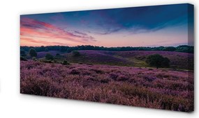 Obraz na płótnie Pole Wrzosów