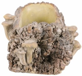 Opakowanie betonowe - skrzynka, drewno z grzybami,36 x 18 x 13 cm, brązowe
