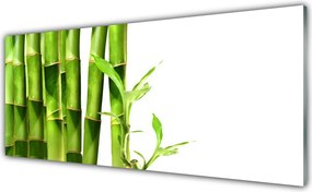 Panel Kuchenny Egzotyczny Pęd Bambusa