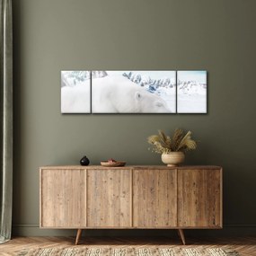 Obraz - Niedźwiedź polarny (170x50 cm)