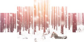Obraz - Zebra w śnieżnym lesie (125x70 cm)