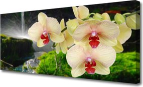 Obraz na płótnie Słońce Przebijające przez Korony