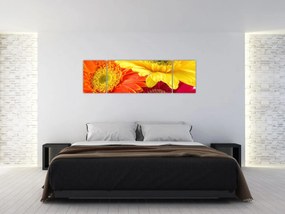 Obraz - Kwiaty Gerbery (170x50 cm)