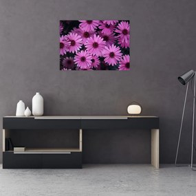 Obraz różowych kwiatów (70x50 cm)