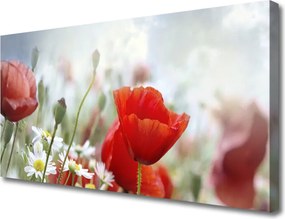 Obraz canvas Płatki Kwiatów w Makro