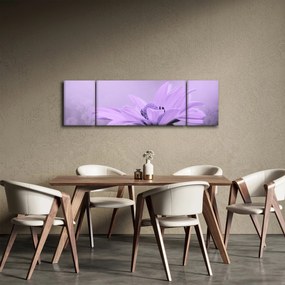 Obraz - Fioletowy kwiat (170x50 cm)