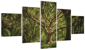 Obraz drzewa (125x70 cm)