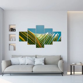 Obraz - Detal liścia palmowego (125x70 cm)